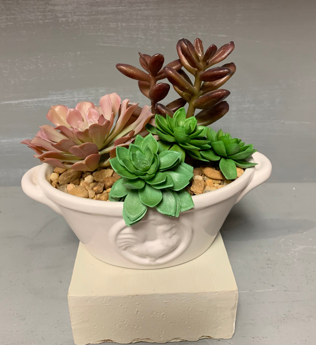 Succulents in Ceramic Dish