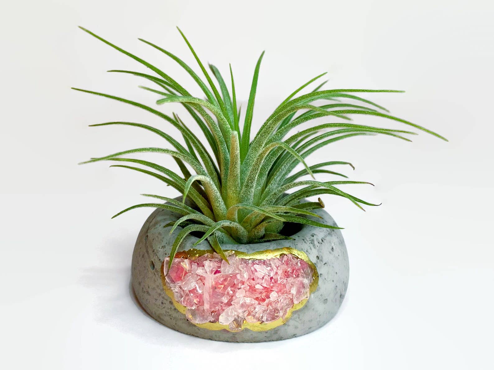 rose quartz air plant Crystal Air Plant Holder