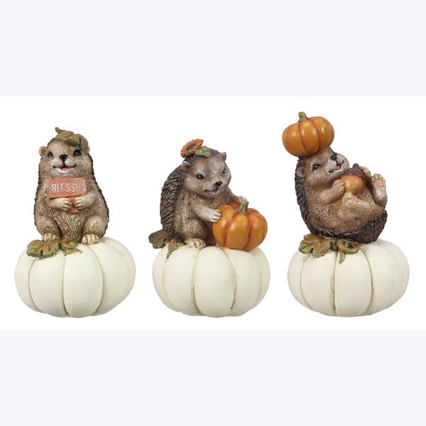 HedgehogPumpkins