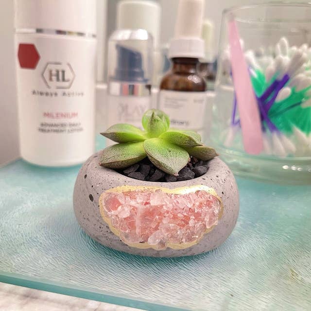 rose quartz air plant Crystal Air Plant Holder