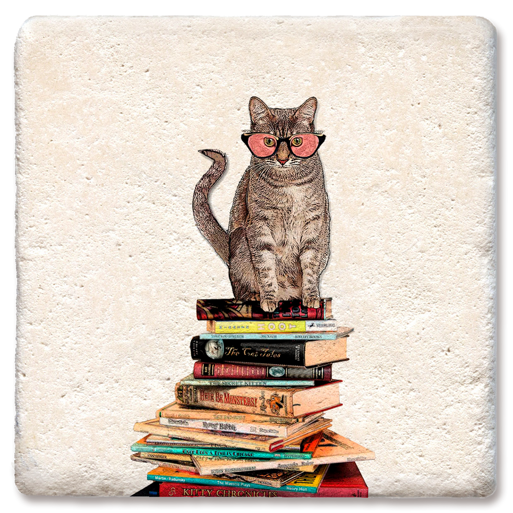 Cat Sitting on Books Coaster