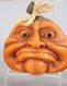 Pumpkin Expressions