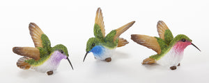 Petite Hummingbirds