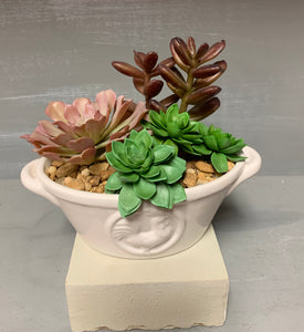 Succulents in Lg Ceramic Dish