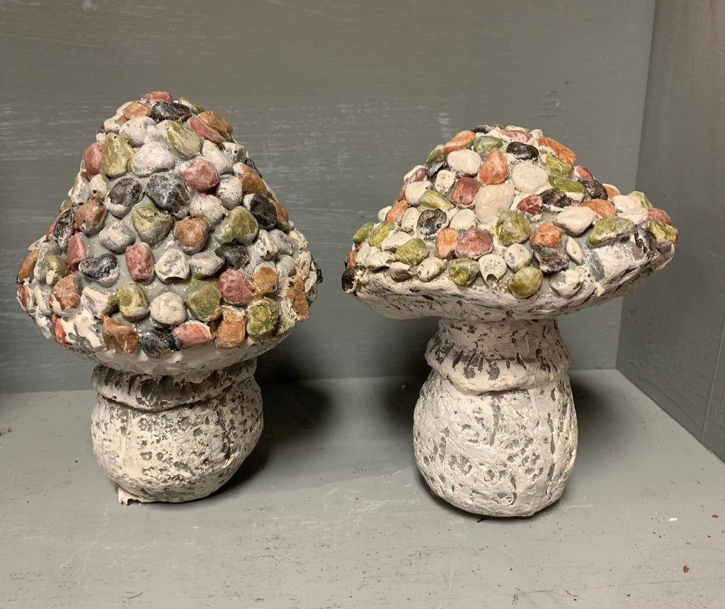 Pebble Top Mushrooms