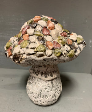 Pebble Top Mushrooms